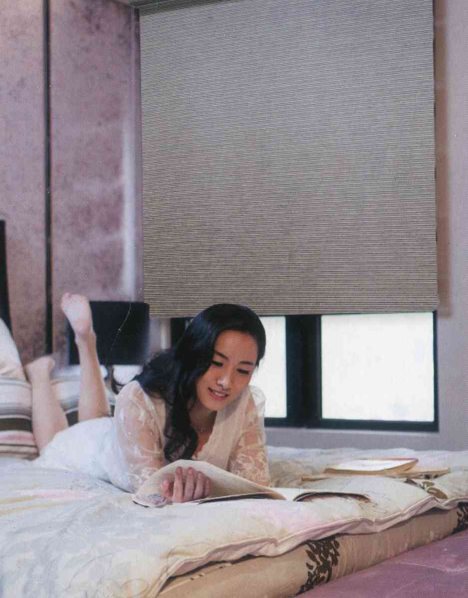 「捲簾款式:簡約實用的現代窗簾設計」 這張圖片展示了一款簡約時尚的捲簾,結合高效遮光與節省空間的設計,適用於多種居家或商業空間。